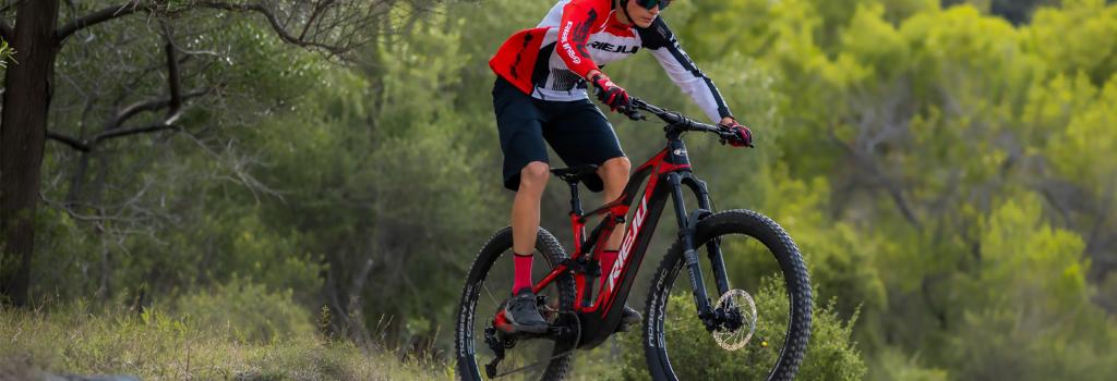 eBikes