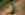 _DSC08558 x.jpg
