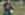 DSC08105x.jpg