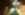 DSC08336 x.jpg
