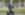 DSC07994 x.jpg