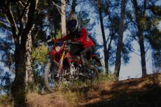 DSC02064-69b3e5e86f861.jpeg