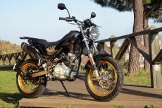 tango-scrambler-125-action-9-5e5d3ab20b94f