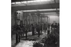 Rieju Origins Pictures