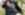 DSC08120x.jpg