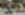 DSC07897x.jpg