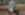 DSC08417x.jpg