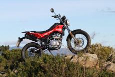 tango-125-2-5e4bc63cc19b4
